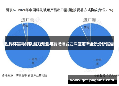 世界杯黑马球队潜力预测与赛场爆发力深度前瞻全景分析报告